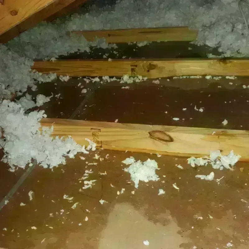 Attic Water Damage in Lake Dallas, TX