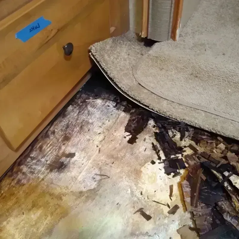 Wood Floor Water Damage in Lake Dallas, TX